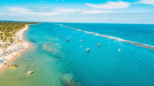 Praia do Francês - Imagem 2