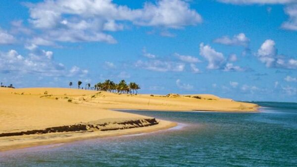 Foz de São Francisco - Imagem 4