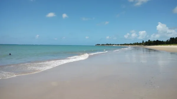 Barra de Santo Antônio - Capitão Nikolas - Imagem 7